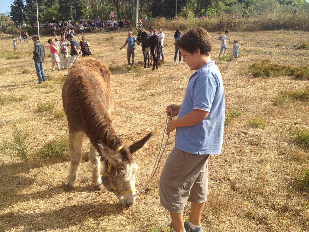 诺托Agriturismo Vita E Natura别墅 外观 照片