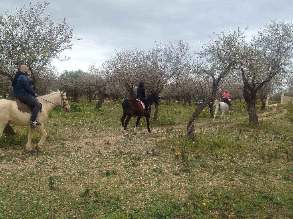 诺托Agriturismo Vita E Natura别墅 外观 照片